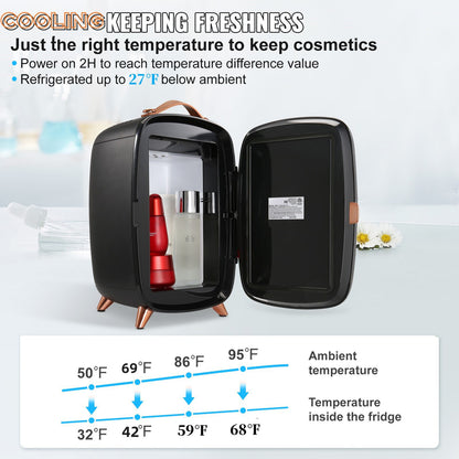 Skincare Fridge With LED Light 